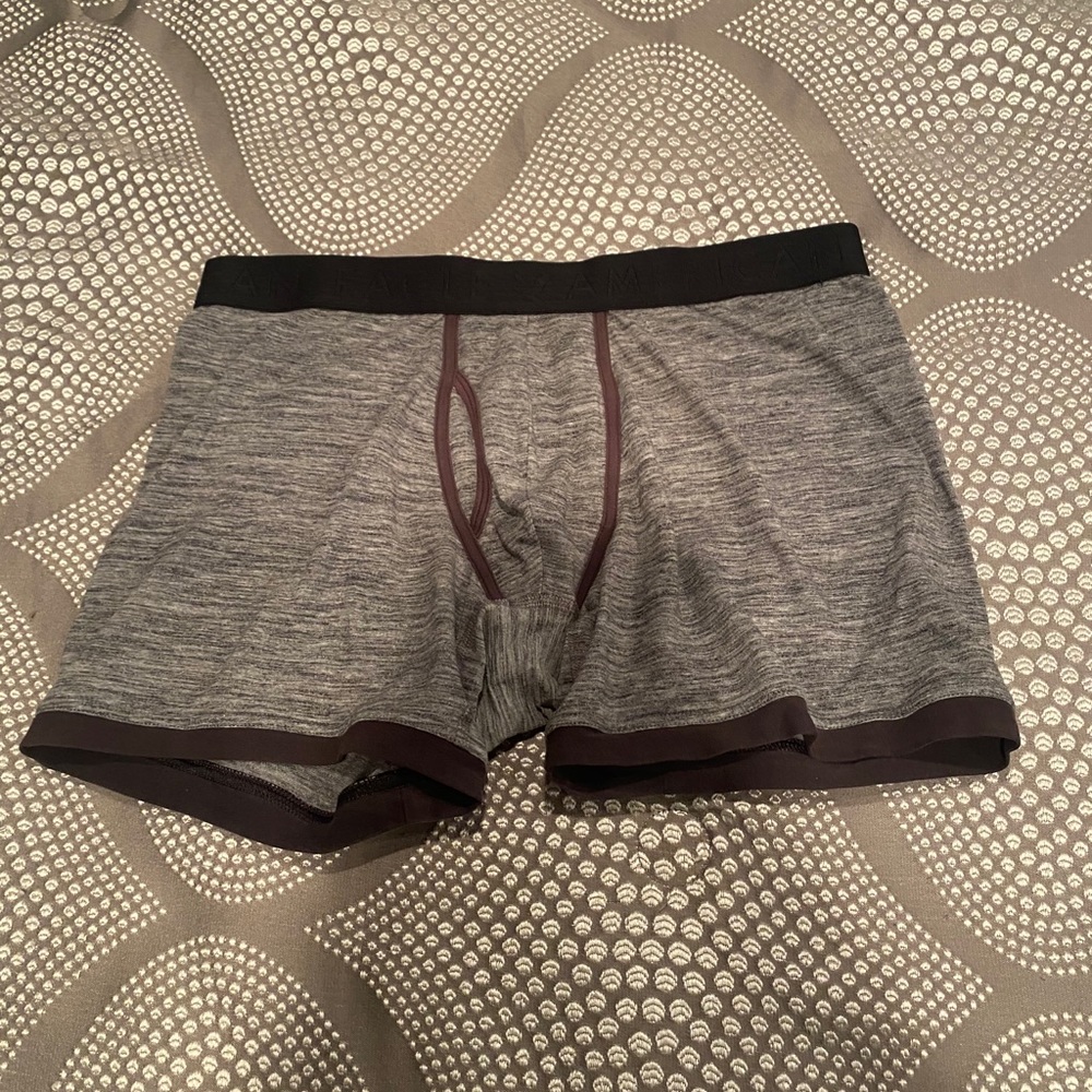 American Eagle Grey Boxer Briefs